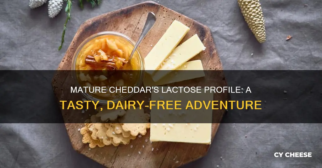 is mature cheddar cheese lactose free