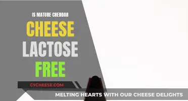 Mature Cheddar Cheese: Lactose-Free or Not?