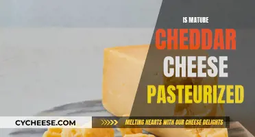 Mature Cheddar's Pasteurization: Unveiling the Secrets of Aging Cheese