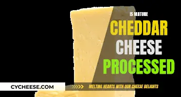 The Art of Cheddar: Unveiling the Process Behind Mature Cheese