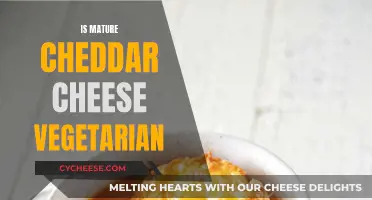 Mature Cheddar Cheese: Vegetarian or Not?