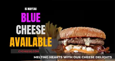 Maytag Blue Cheese: Where to Find This Delicious Treat?