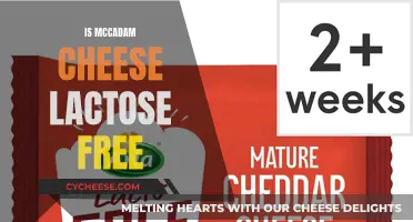 Cheese and Lactose: McCadam's Lactose-Free Option