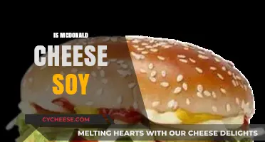 Is McDonald's Cheese Made with Soy? Uncovering the Ingredients Truth