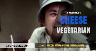 Is McDonald's Cheese Vegetarian? Uncovering the Truth Behind the Melt
