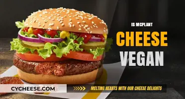Is McPlant Cheese Vegan? Unraveling the Ingredients and Ethics
