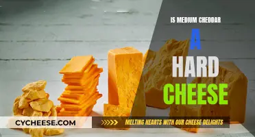 The Soft Side of Medium Cheddar: A Cheesemaker's Perspective