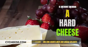 Cheddar Cheese Hardness: Medium or Hard?