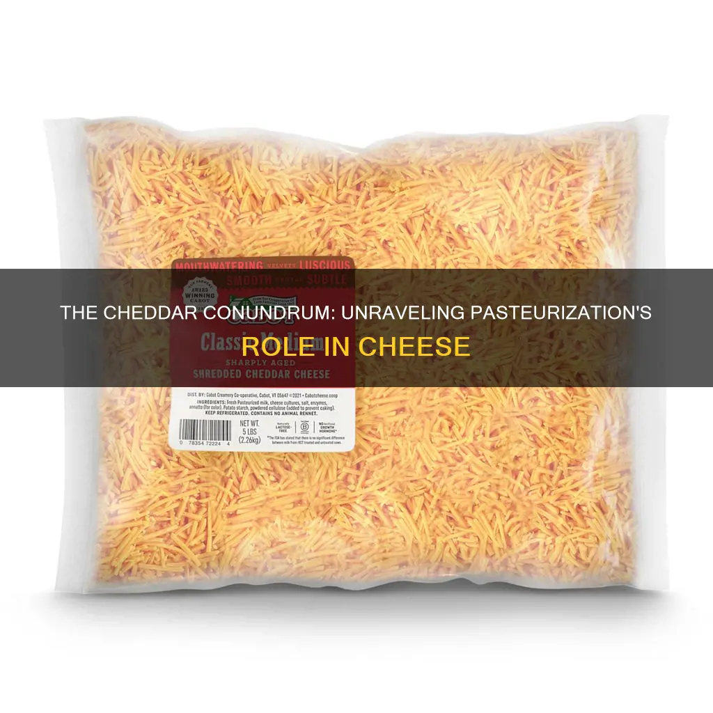 is medium cheddar cheese pasteurized