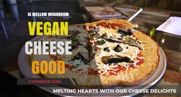 Is Mellow Mushroom's Vegan Cheese Worth the Hype? A Review
