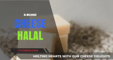 Is Melrose Cheese Halal? Exploring Ingredients and Certification Details
