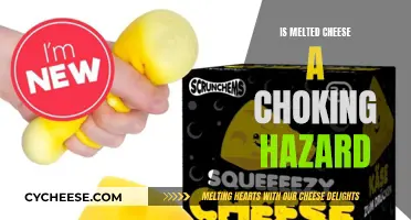 Cheese Lovers Alert: Melty Cheese Choking Hazards