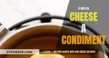 Cheese, Condiment or Culinary Creation?