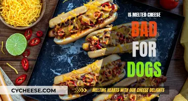 Cheese: Can Dogs Eat Melted Cheese?