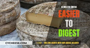 Cheese Conundrum: Does Melting Improve Digestibility?