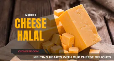 Cheese Connoisseurs: Is Melted Cheese Halal?