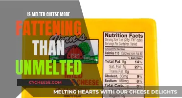 Cheese: Melted vs Unmelted — Which is More Fattening?