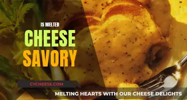 Cheese: The Ultimate Savory Comfort Food
