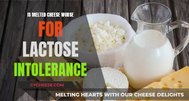 Cheese and Lactose Intolerance: Does Melting Help?