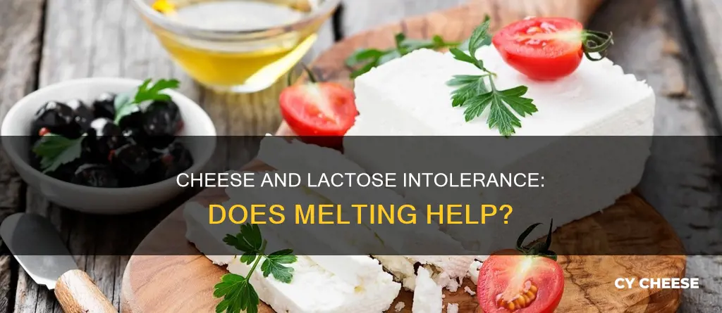 is melted cheese worse for lactose intolerance