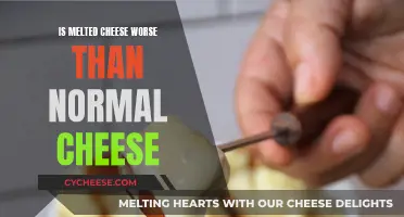 Cheese Conundrum: Melted vs. Solid, Which is Worse?