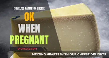 Pregnant and Craving Cheese? Parmesan Safety Tips
