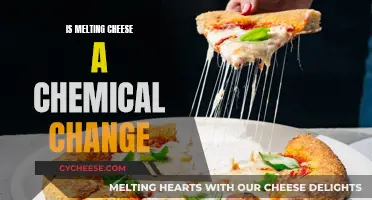 Cheese Melting: Chemistry or Not?