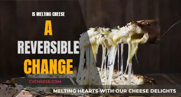 Cheese Melting: Reversible or Not?