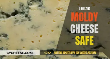 Moldy Cheese: Melting Makes It Safe?