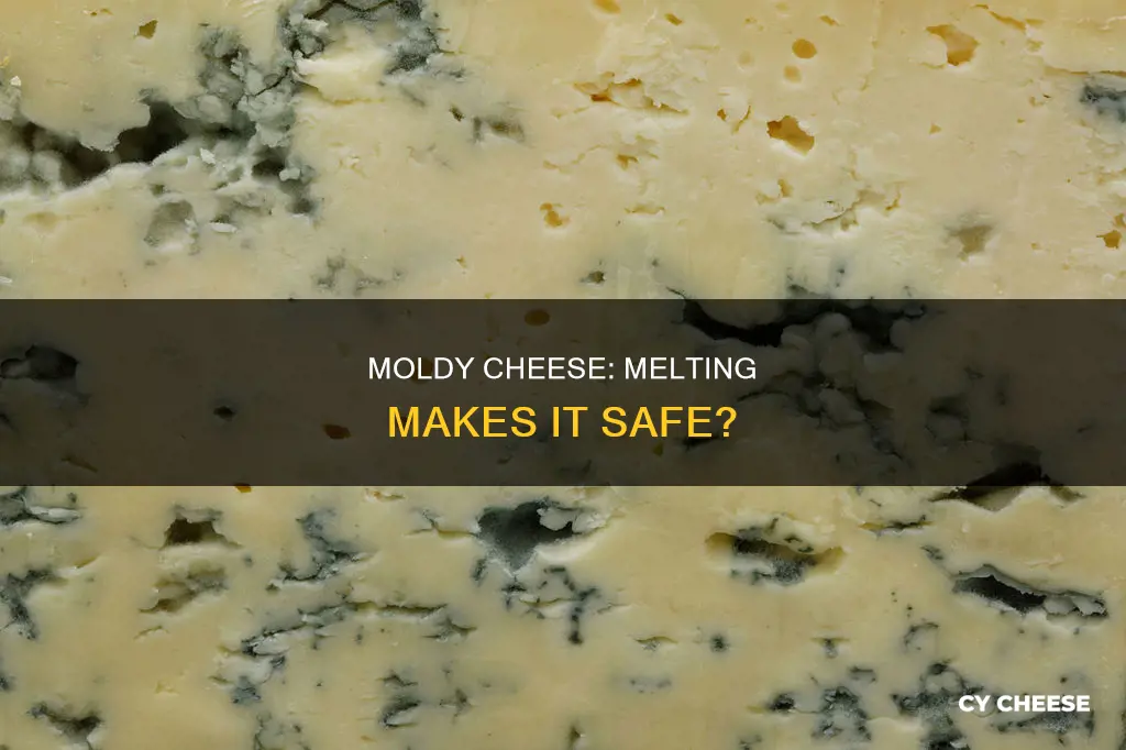 is melting moldy cheese safe