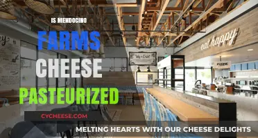 Is Mendocino Farms Cheese Pasteurized? A Detailed Answer