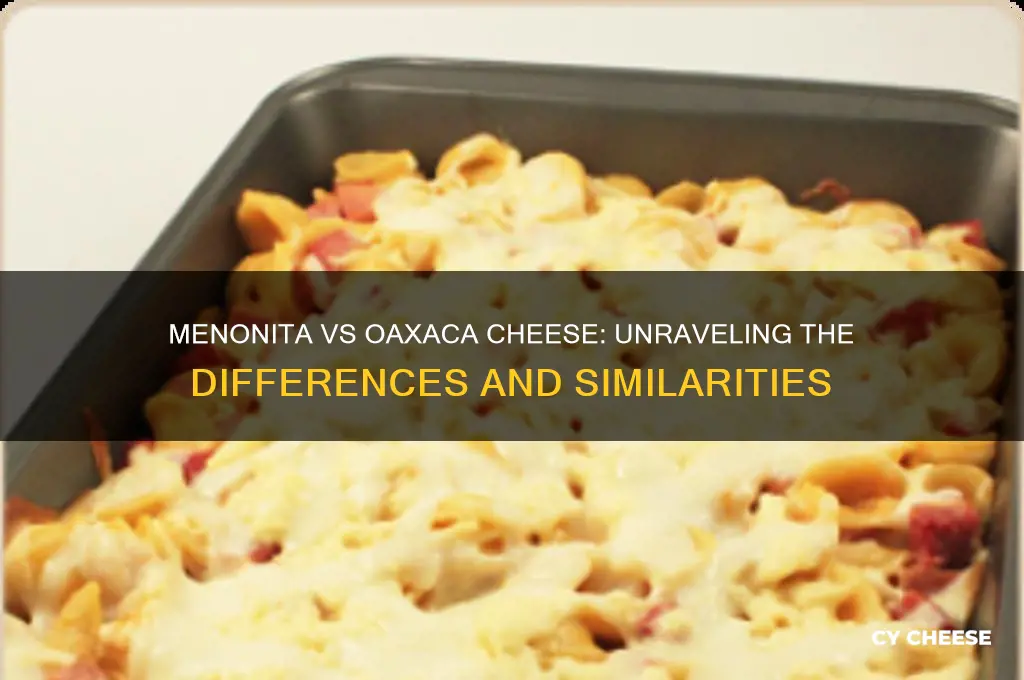 is menonita cheese oaxaca cheese