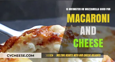 Munster vs. Mozzarella: Which Cheese Reigns Supreme in Mac and Cheese?