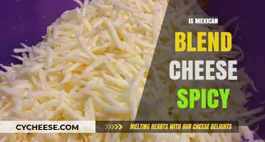 Is Mexican Blend Cheese Spicy? Unraveling the Flavor Mystery