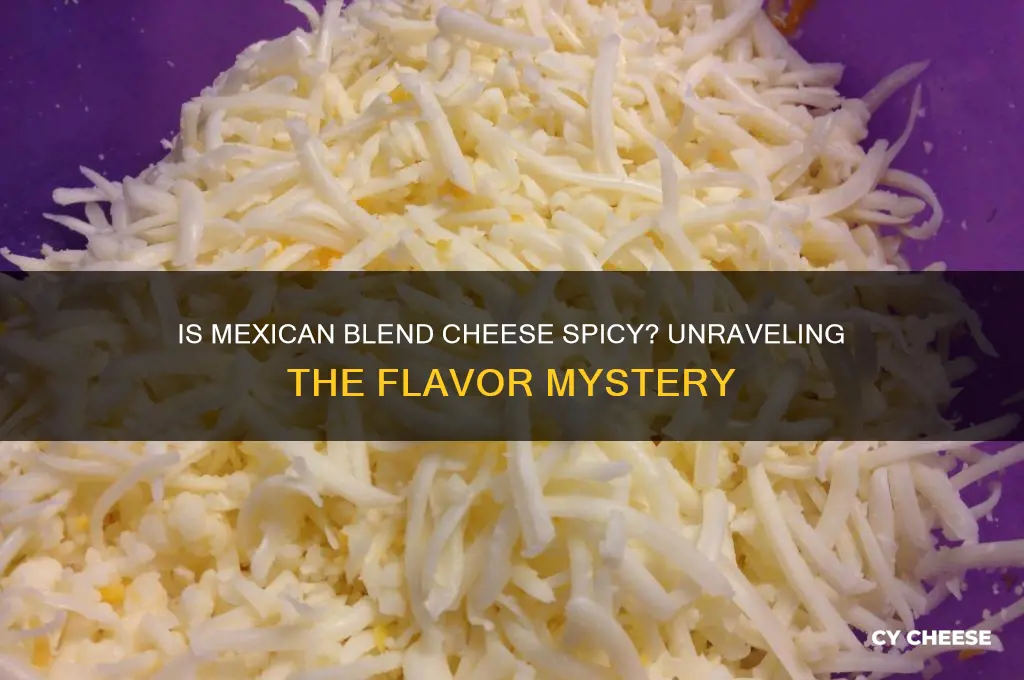is mexican blend cheese spicy