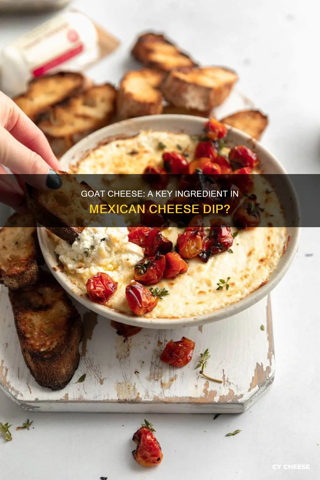 is mexican cheese dip goat cheese