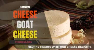 Unveiling the Mexican Mystery: Is It Goat Cheese?