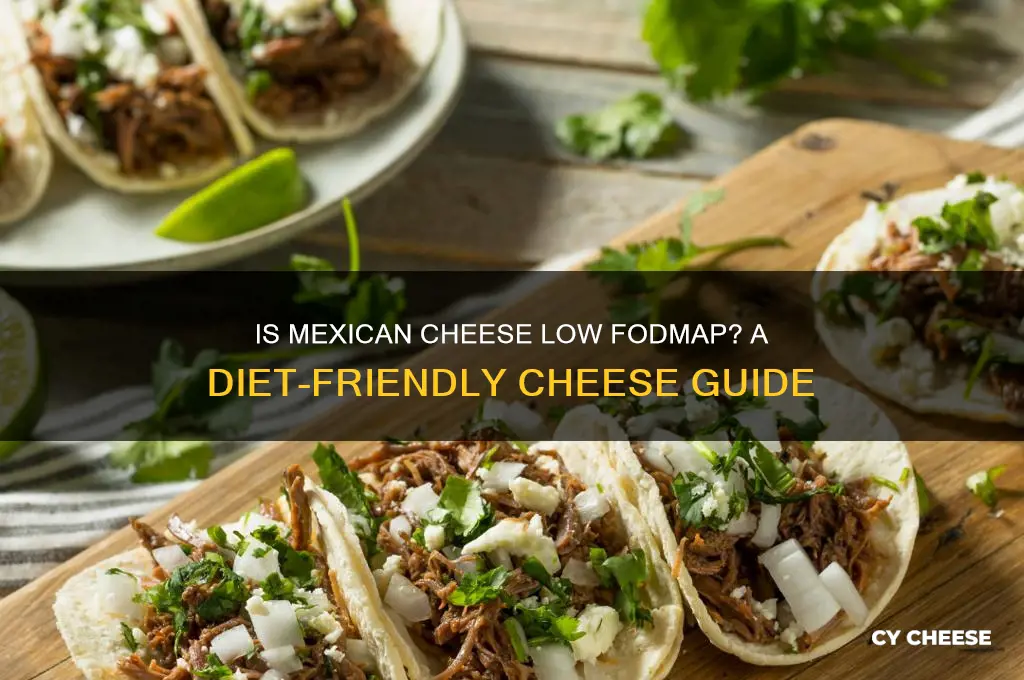 is mexican cheese low fodmap