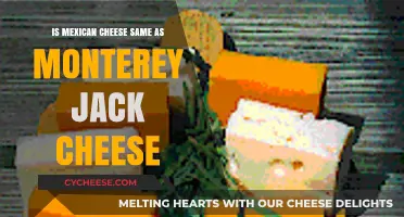Mexican Cheese vs. Monterey Jack: Are They the Same?