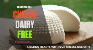 Goat Cheese: Mexican Dairy-Free Delicacy Explained