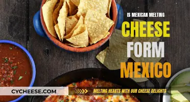 The History of Mexican Melting Cheese