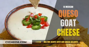 Unveiling the Mystery: Mexican Queso's Goat Cheese Connection