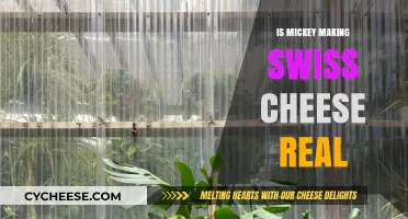 Disney's Mickey: Swiss Cheese Reality Check