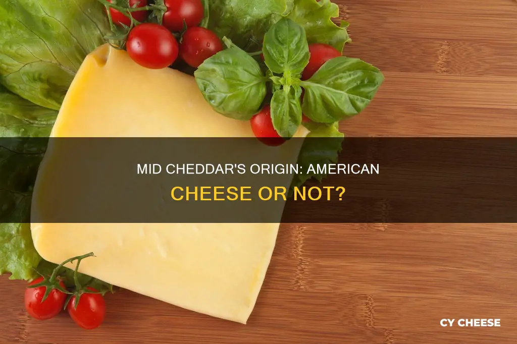 is mid chedder cheese american cheese