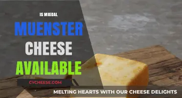 Where to Find Migdal Muenster Cheese: Availability and Options