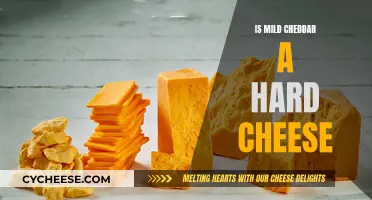 The Soft Side of Cheddar: Mildly Challenging or Mildly Delicious?