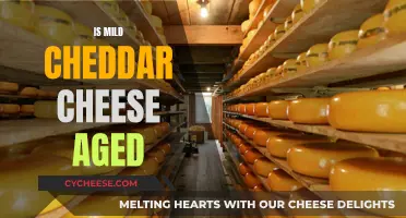 The Aging Process of Mild Cheddar: Unveiling the Secrets of its Soft Texture