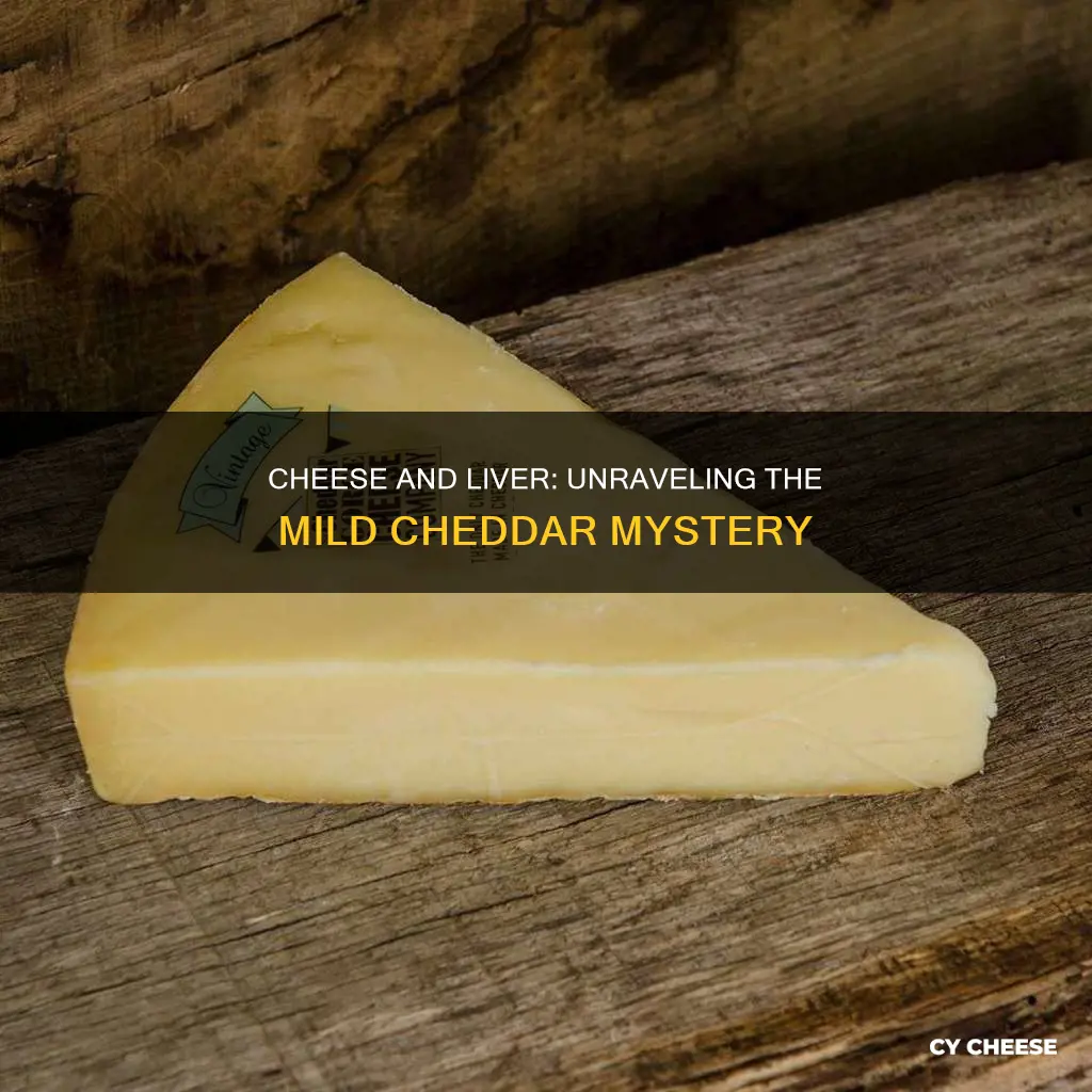 is mild cheddar cheese bad for your liver