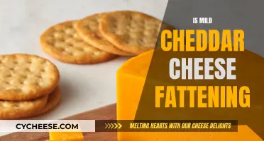 Mild Cheddar Cheese: Unraveling the Fat Mystery