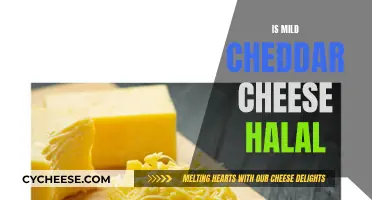 Is Mild Cheddar Halal? Unraveling the Cheese Conundrum